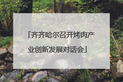 齐齐哈尔召开烤肉产业创新发展对话会